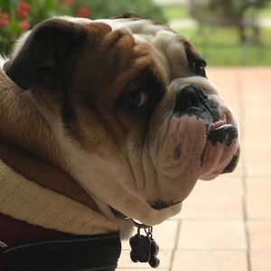 Meet your Posher, Diego